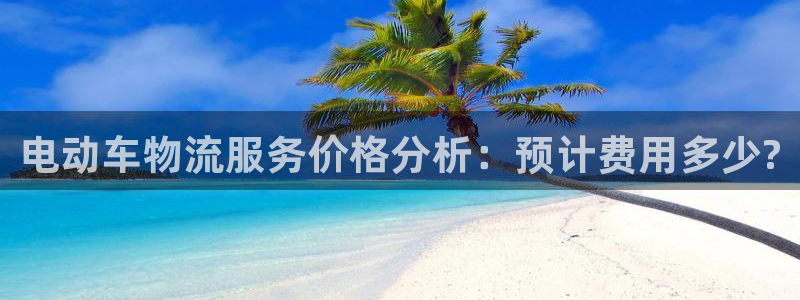 28圈官方网站预测：电动车物流服务价