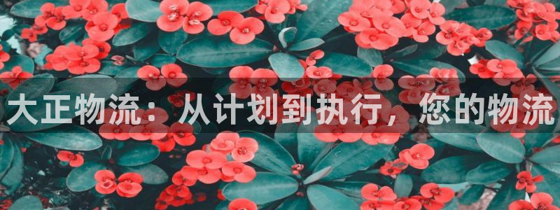 28圈注册登录链接流程：大正物流：从计划到执行，您的物流