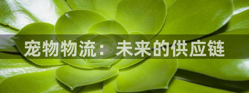 28圈如何看计划:宠物物流:未来的供