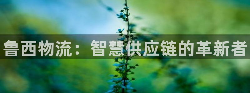 28圈自行车搞笑图片：鲁西物流：智慧供应链的革新者