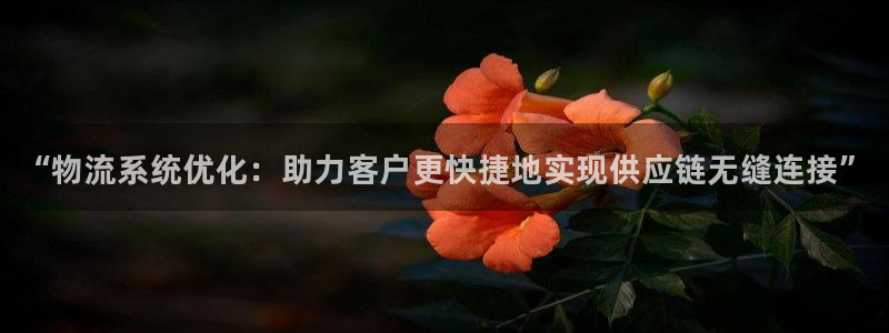 28圈登陆网:“物流系统优化:助力客