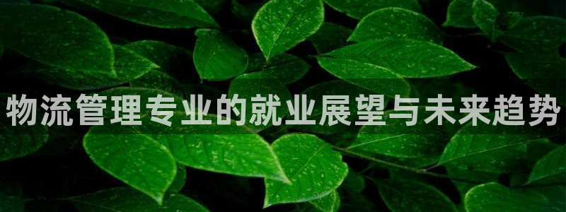 28圈pg麻将胡了