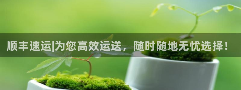 28圈注册送:顺丰速运|为您高效运送