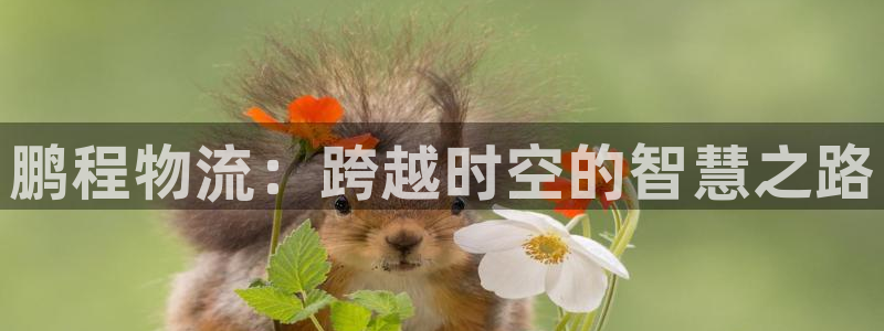 28圈赌博软件正规吗