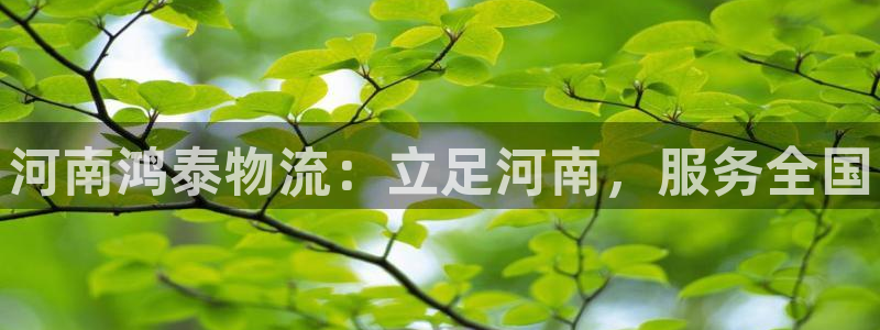 28圈注册登录链接流程