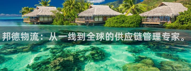 28圈官方官网版