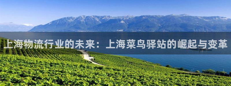 28圈下载链接是多少