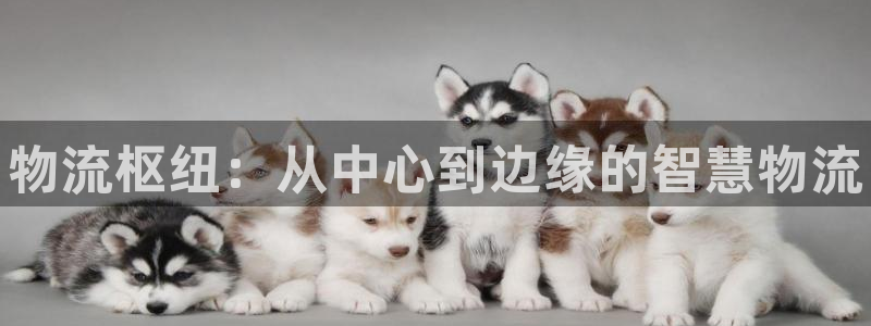 28圈南宫娱乐官网