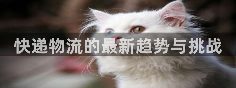 28圈注册网站多少钱一个：快递物流的