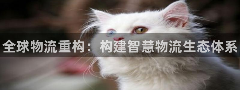 28圈官网版2024：全球物流重构：构建智慧物流生态体系