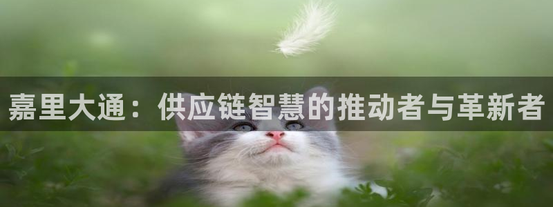 28圈初始资金密码在哪里改