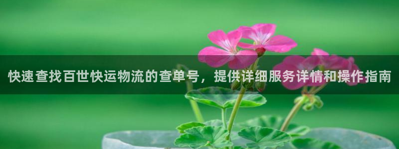 28圈注册：快速查找百世快运物流的查