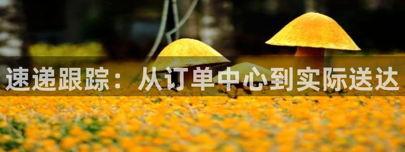 28圈充值不处理怎么办：速递跟踪：从订单中心到实际送达