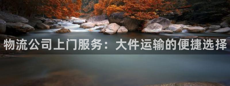 28圈加拿大app预测：物流公司上门