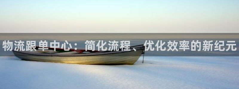 28圈怎么注册下载：物流跟单中心：简